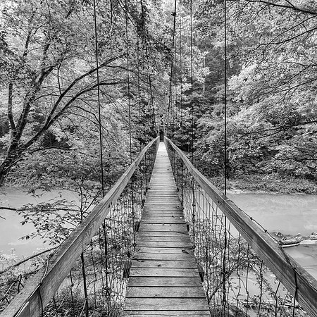Gorge_SwingBridge_1219725_8x10bw