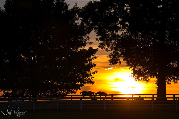 Horses_sunset2770w
