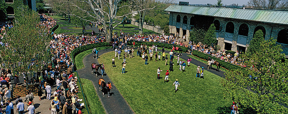 KeenelandPaddock