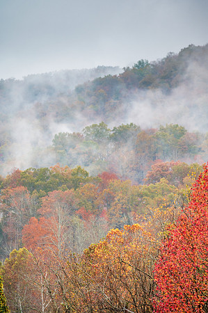 Fall_E_KY-5725