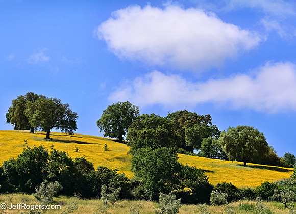 Tuscany--47
