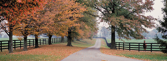 Cover_AutumnBluegrass