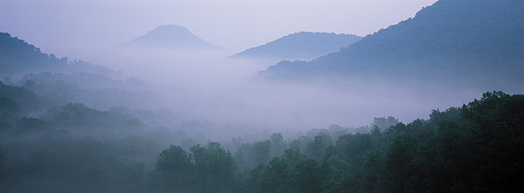 PilotKnob