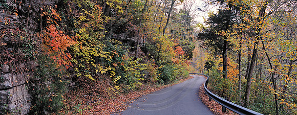 Shaker_Lane1