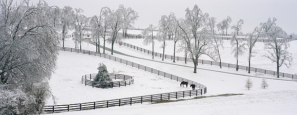 IceStormDarley