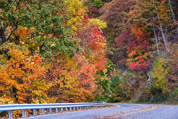 Fall_E_KY-2773_30