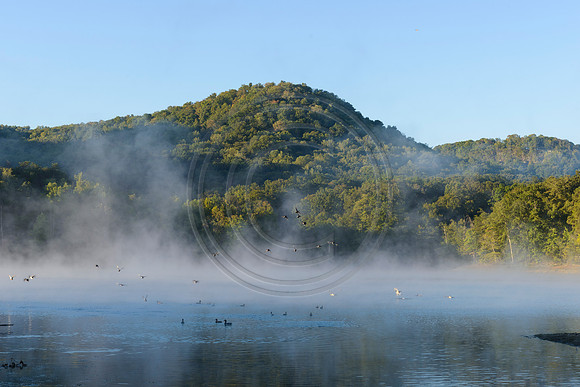 Sunrise_Fog2288