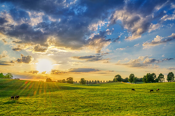 Horse_Pisgah_sunset8795w