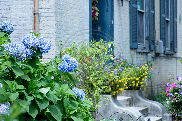 Lex_downtown-8654