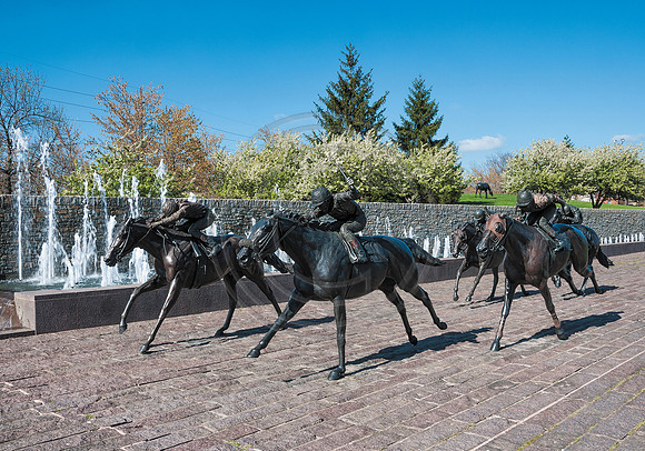 Horses_ThoroPark-3176