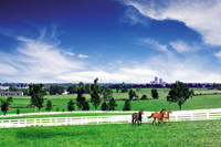Lexington