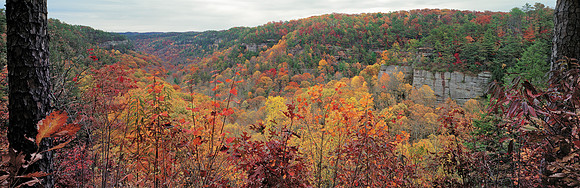 Gorge_overlook