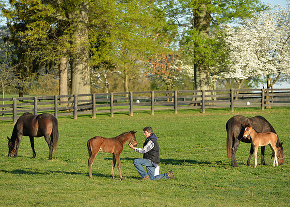 05_HorseHunterton0059