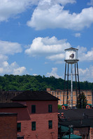 Bourbon_Buffalo3432