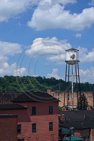 Bourbon_Buffalo3432