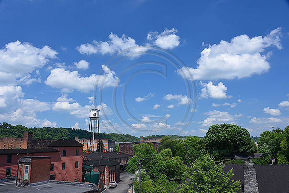 Bourbon_Buffalo3428