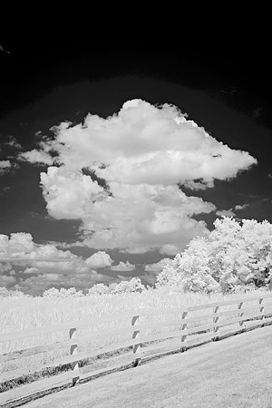 _JRP3012_Radiant