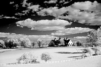 Horse_Farm2508w