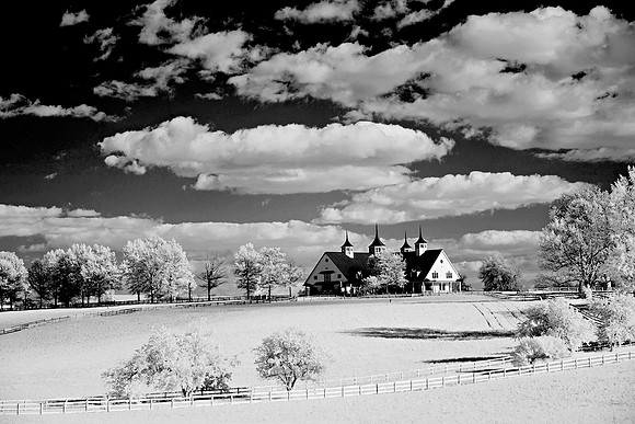 Horse_Farm2508w