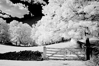 _JRP9197_Radiant