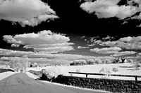 Horse_Farm_Drive2522w