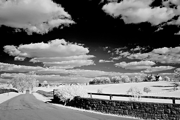 Horse_Farm_Drive2522w
