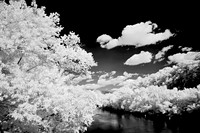 _JRP9246_Radiant