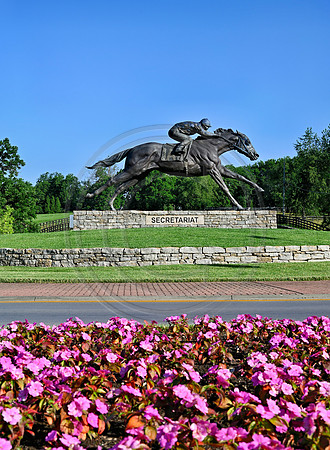 _JRP3398_Radiant