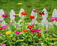 Flowers_5899_16x20