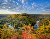 Bee_Rock8187_20x26