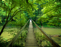 Gorge_SwingBridge_1219725b_20x26