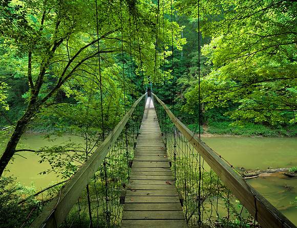 Gorge_SwingBridge_1219725b_20x26