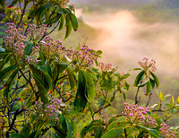 RR_Gorge_Sunrise-5770_20x26