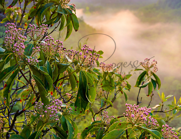RR_Gorge_Sunrise-5770_20x26