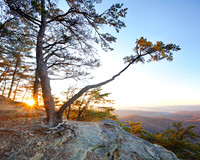 Sunrise_Knobs9903_16x20