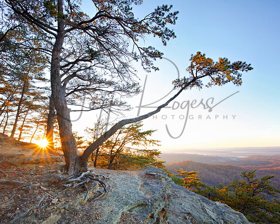 Sunrise_Knobs9903_16x20