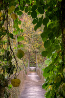 Fall_Swinging_Bridge2439_16x24