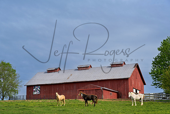Horses_Red_Barn0984_28