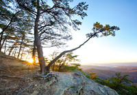 Sunrise_Knobs9903_18x28b
