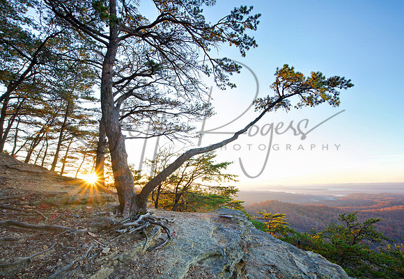 Sunrise_Knobs9903_18x28b