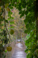 Fall_E_KY-2439