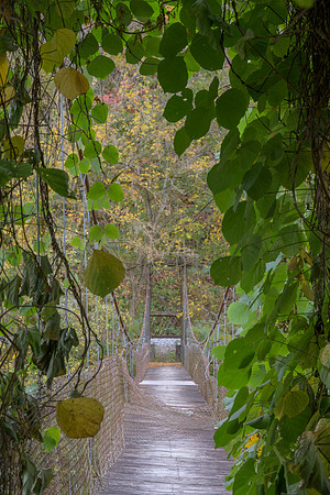 Fall_E_KY-2439
