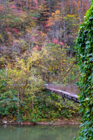 Fall_E_KY-2460