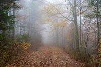 Fall_E_KY-2505