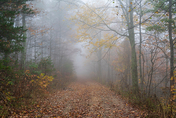 Fall_E_KY-2505
