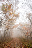 Fall_E_KY-2551