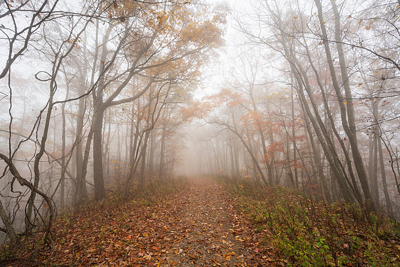Fall_E_KY-2554