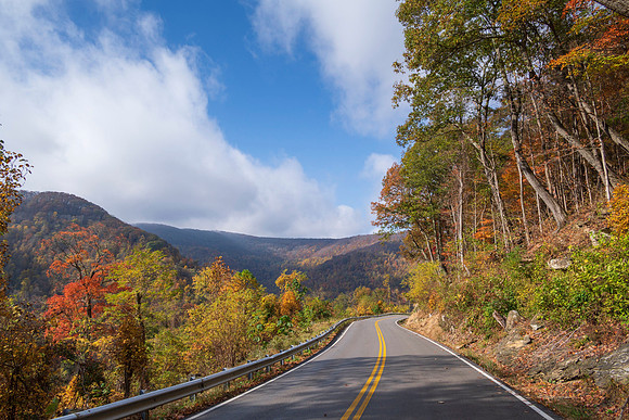 Fall_E_KY-2713