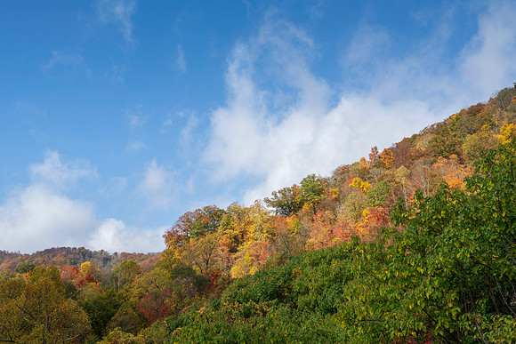 Fall_E_KY-2762
