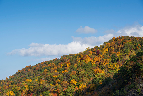 Fall_E_KY-2871